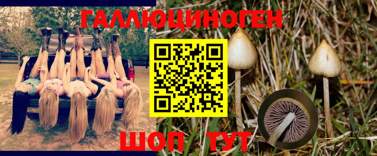 Галлюциногенные грибы мухоморы Ефремов