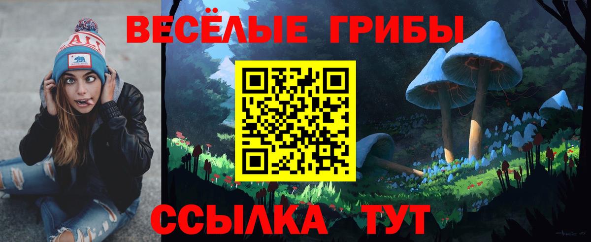 Галлюциногенные грибы мухоморы  Вход с VPN  купить закладку  Ефремов 